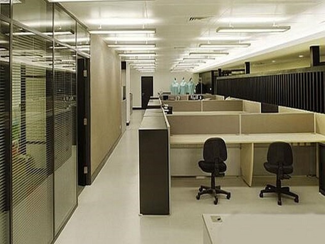 福建葡萄蜗牛种培育哪家好